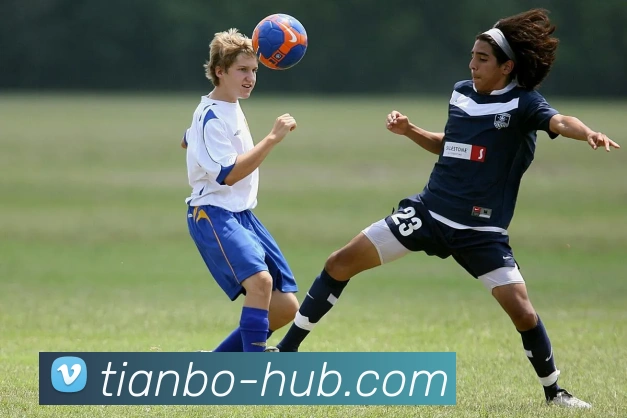 天博体育官方网站品牌故事